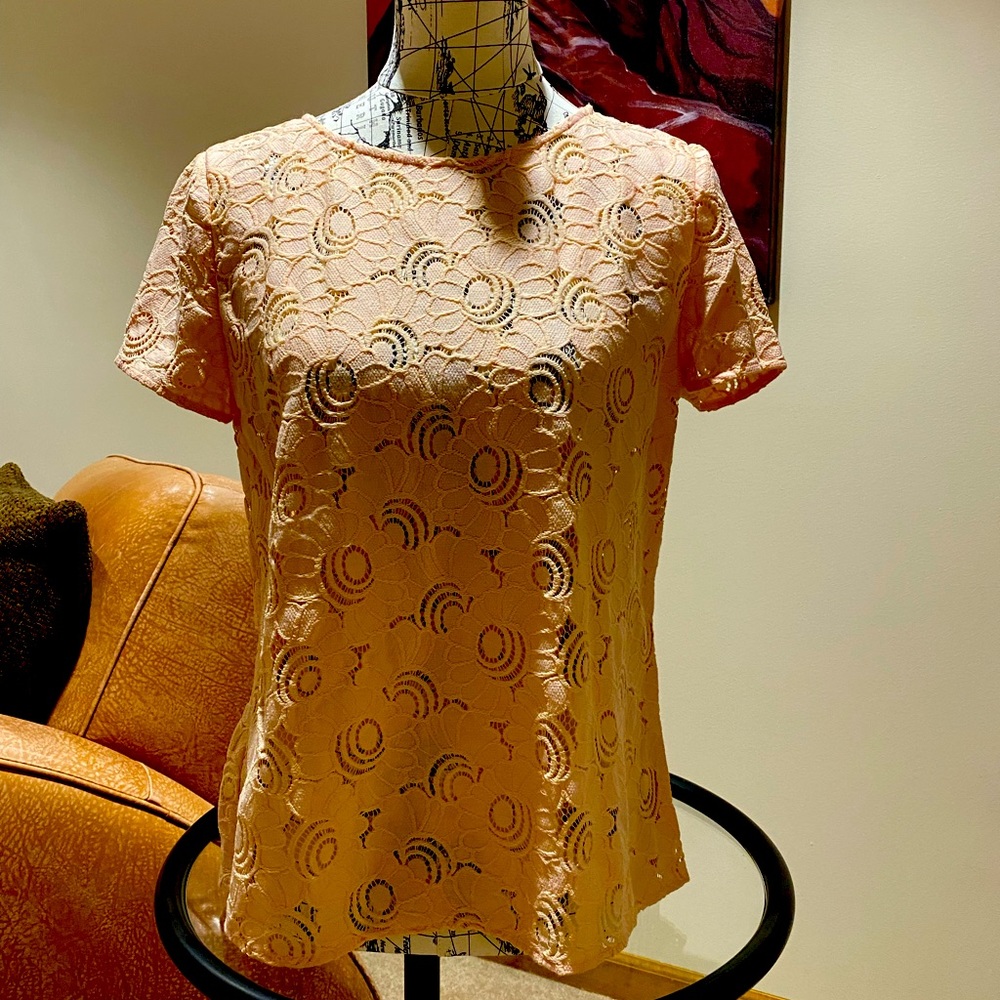 Beautiful flowered lace, Ann Taylor Loft blouse